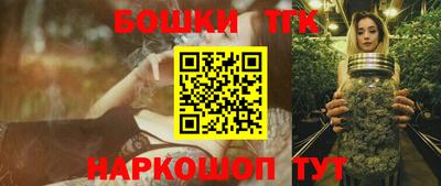 прущие крисы Бердск