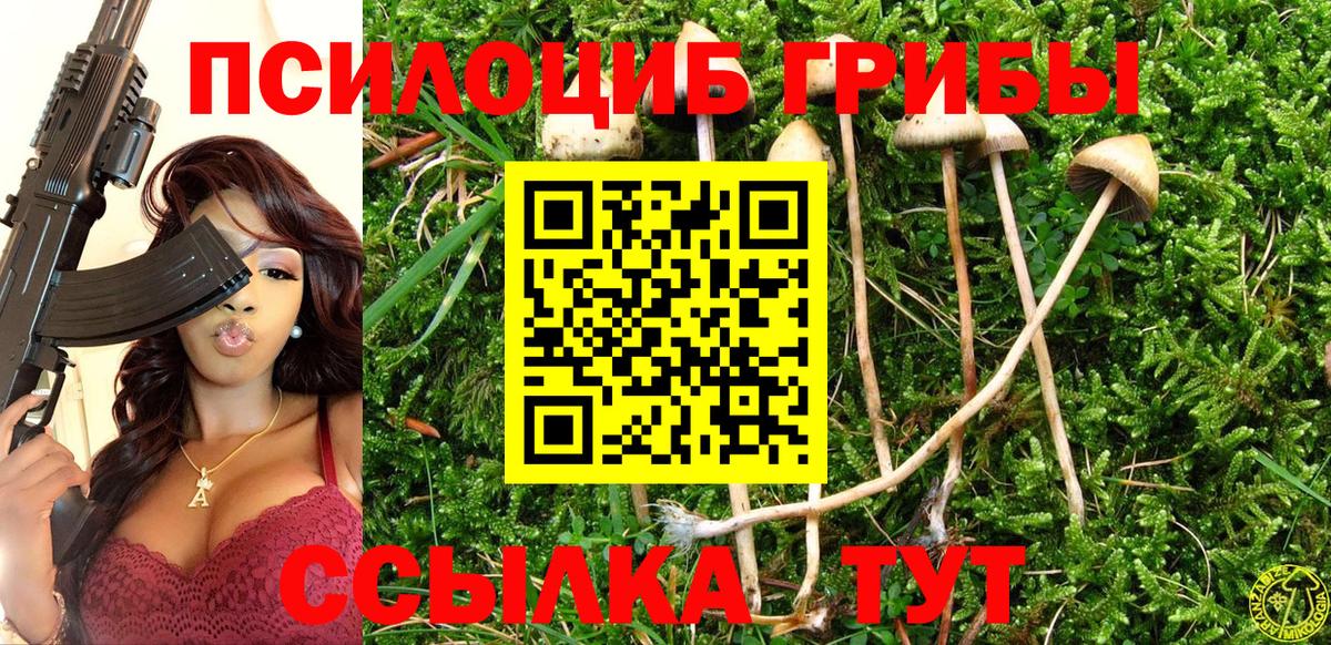 Псилоцибиновые грибы прущие грибы Кимовск